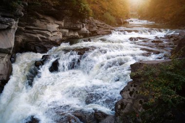 Güzel, güçlü bir şelale. Yaremche şehrinde Probiy şelalesi ve Prut nehri, batı Ukrayna