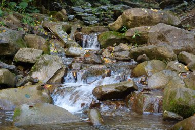 Güzel vahşi doğa, dağlarda küçük şelale. Saf kaynak suyu taşların arasından akar.