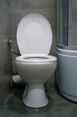 Tuvaletin içi beyaz klozet, duş kabini ve gri duvar kiremitleriyle dolu.