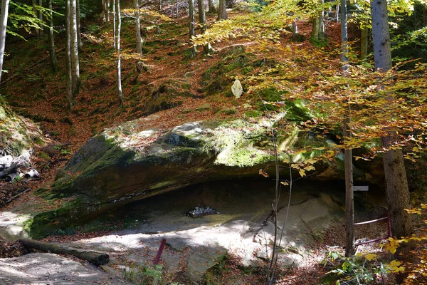 Błogosławiony Kamień Święte Źródło Lesie Pobliżu Manyava Skete Zachodniej Ukrainie — Zdjęcie stockowe