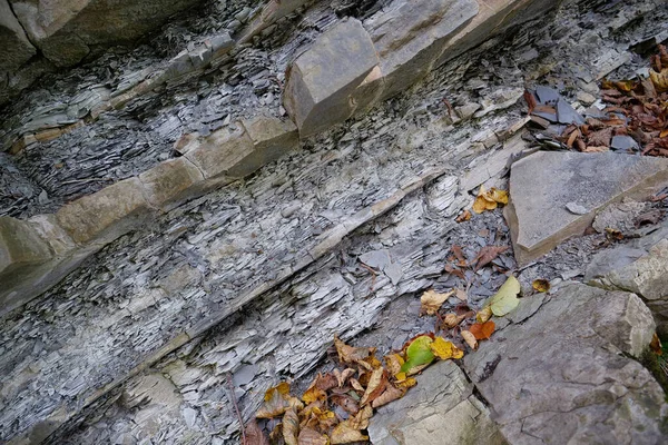 ウクライナのカルパティア山脈 プルート川の近くの石 Yaremche Folds ヨーロッパでのStryi形成の最大の露頭 ここでは この形成の岩が折り畳まれ ゴシックまたはシェブロン型 — ストック写真