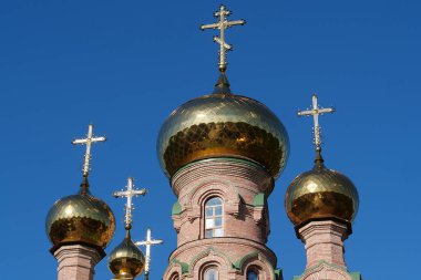 Tanrı 'nın Annesi İkon Kilisesi Hayat Veren Bahar, Kutsal Şefaat Manastırı, Goloseevsky Hermitage - Kyiv-Pechersk Lavra' nın çizimi