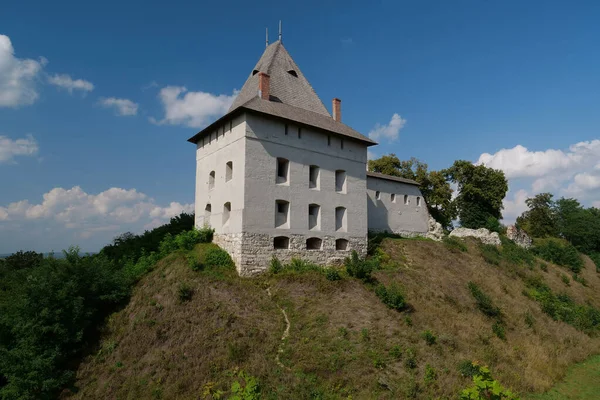 Zamek Xiv Wieku Halyczu Miasto Nad Dniestrem Zachodnia Ukraina Miasto — Zdjęcie stockowe