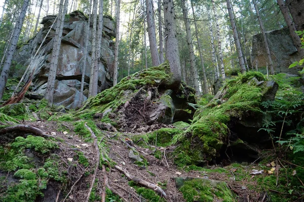 乌克兰Yaremche市附近的Dovbush岩石 矮树丛小路 穿过森林覆盖的山坡的路线 上升到岩石堆 Dovbush路径是为了纪念Opryshky的伟大领袖Oleksa Dovbush而创建的 — 图库照片