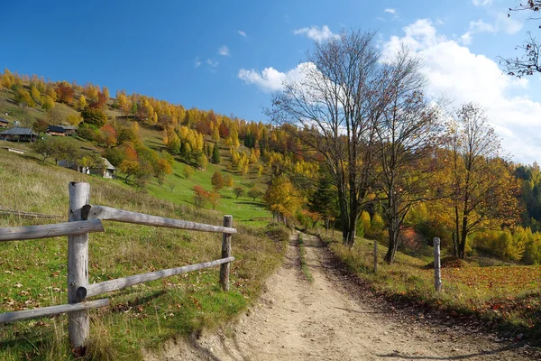 Piękny Jesienny Las Karpatach Niesamowity Charakter Ukraińskich Karpat — Zdjęcie stockowe