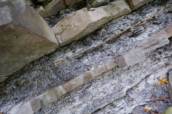 乌克兰喀尔巴阡山脉普鲁特河附近的石子 Yaremche褶皱 欧洲Stryi组最大的露头 在这里 这种岩层的岩石是褶皱和断陷的 哥特式的或绳状的 — 图库照片