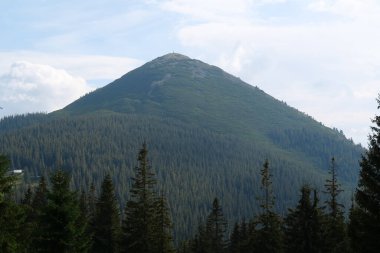 Gorgany - Batı Ukrayna 'da, Doğu Karpatlar' da, Chornohora sınırına yakın bir dağ sırası. 1542 metre Hamster Mount 'a bakın.