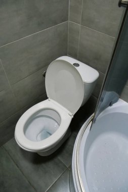 Tuvaletin içi beyaz klozet, duş kabini ve gri duvar kiremitleriyle dolu.