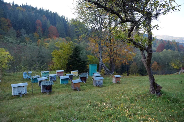 乌克兰喀尔巴阡山脉院子里的老式木制蜂箱 — 图库照片