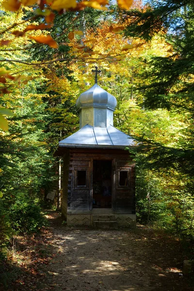礼拝堂による祝福石と西ウクライナのマニヤヴァ スケテ近くの森の中の神聖な春 祈りと精神的な浄化の場所と見なされます その下から湧き出す癒しの水 — ストック写真