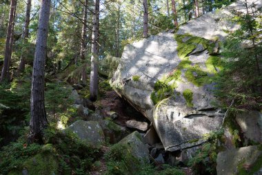 Ukrayna 'nın Yaremche şehri yakınlarındaki Dovbush Kayalıkları. Dovbush yolu - ormanlı dağ yamaçlarından geçerek, kaya yığınlarına kadar yükselir. Dovbush yolu Opryshky 'nin büyük lideri Oleksa Dovbush' un anısına yapıldı.