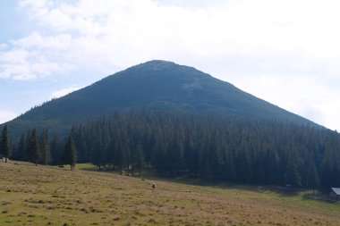 Gorgany - Batı Ukrayna 'da, Doğu Karpatlar' da, Chornohora sınırına yakın bir dağ sırası. 1542 metre Hamster Mount 'a bakın.