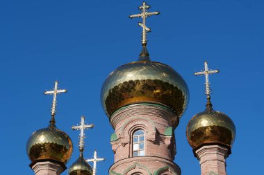 Tanrı 'nın Annesi İkon Kilisesi Hayat Veren Bahar, Kutsal Şefaat Manastırı, Goloseevsky Hermitage - Kyiv-Pechersk Lavra' nın çizimi