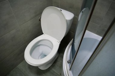 Tuvaletin içi beyaz klozet, duş kabini ve gri duvar kiremitleriyle dolu.