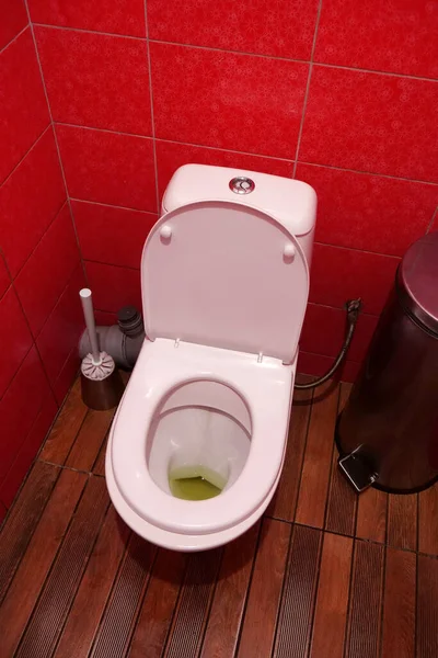 Tuvalet Odası Içi Açık Kapaklı Beyaz Klozet Metal Çöp Sepeti — Stok fotoğraf