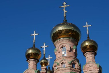 Tanrı 'nın Annesi İkon Kilisesi Hayat Veren Bahar, Kutsal Şefaat Manastırı, Goloseevsky Hermitage - Kyiv-Pechersk Lavra' nın çizimi