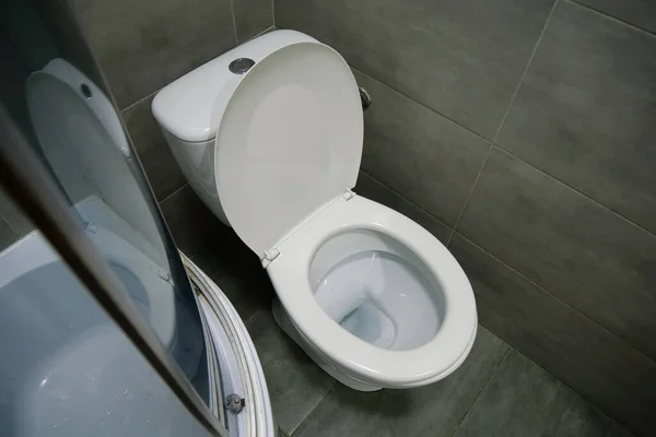 Tuvaletin Içi Beyaz Klozet Duş Kabini Gri Duvar Kiremitleriyle Dolu — Stok fotoğraf