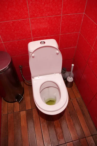 Tuvalet Odası Içi Açık Kapaklı Beyaz Klozet Metal Çöp Sepeti — Stok fotoğraf