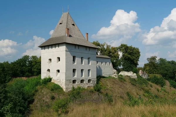 Castillo Del Siglo Xiv Halych Ciudad Río Dniester Oeste Ucrania —  Fotos de Stock