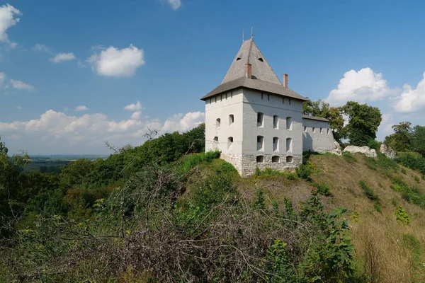 Zamek Xiv Wieku Halyczu Miasto Nad Dniestrem Zachodnia Ukraina Miasto — Zdjęcie stockowe