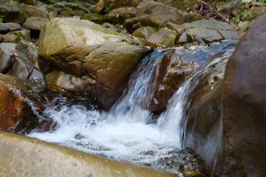 Güzel vahşi doğa, dağlarda küçük şelale. Saf kaynak suyu taşların arasından akar.