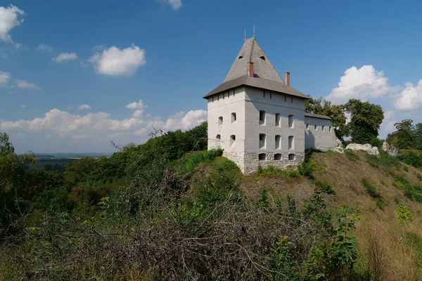 Castle 14Th Century Halych City Dniester River Western Ukraine City —  Fotos de Stock
