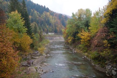 Batı Ukrayna 'daki Karpat Dağları' nda Yaşam