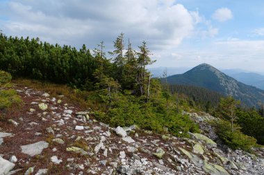 Gorgany - Batı Ukrayna 'da, Doğu Karpatlar' da, Chornohora sınırına yakın bir dağ sırası. 1542 metre Hamster Mount 'a bakın.
