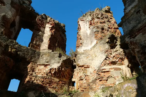 Stone Ruins Pniv Castle Medieval Historical Object Ivano Frankivsk Region — Foto Stock