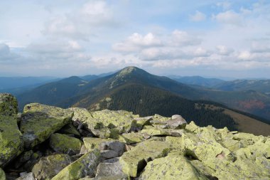 Gorgany 'de sarı liken taşları. Batı Ukrayna' da Chornohora sınırına komşu Doğu Karpatlar 'daki dağ sıraları. Hamster Dağı 'ndan görüntü, 1542 metre Syniak Dağı' na, 1665 metre.