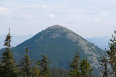 Gorgany - Batı Ukrayna 'da, Doğu Karpatlar' da, Chornohora sınırına yakın bir dağ sırası. 1542 metre Hamster Mount 'a bakın.