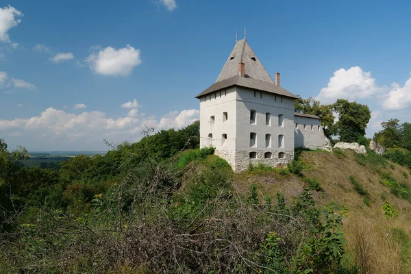 Castle 14Th Century Halych City Dniester River Western Ukraine City — Foto Stock