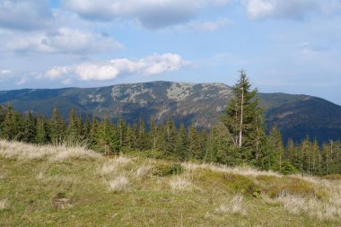 Gorgany - Batı Ukrayna 'nın dış doğu Karpatlar' daki sıradağları, Chornohora 'ya komşu.
