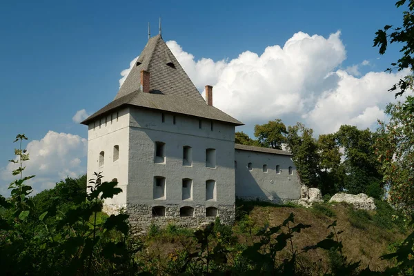 Castle 14Th Century Halych City Dniester River Western Ukraine City — Stok fotoğraf
