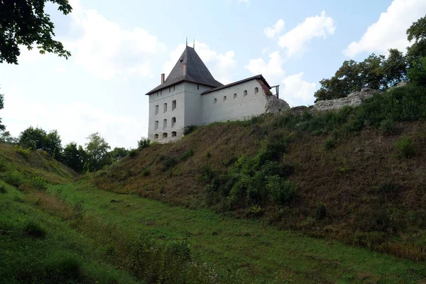 Κάστρο Από 14Ο Αιώνα Στο Halych Πόλη Στον Ποταμό Δνείστερο — Φωτογραφία Αρχείου