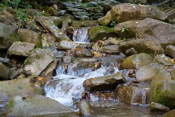 美しい野生の自然 山の中で小さな滝 石の間を流れる純泉 — ストック写真