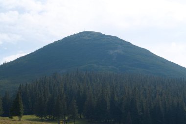 Gorgany - Batı Ukrayna 'da, Doğu Karpatlar' da, Chornohora sınırına yakın bir dağ sırası. 1542 metre Hamster Mount 'a bakın.
