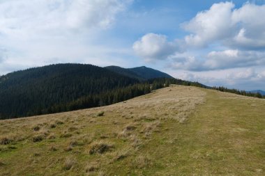 Gorgany - Batı Ukrayna 'da, Doğu Karpatlar' da, Chornohora sınırına yakın bir dağ sırası. Syniak Dağı 'na bak, 1665 metre