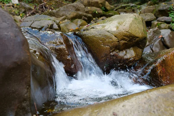 stock image Beautiful wild nature, little waterfall in the mountains. Pure spring water flows between stones