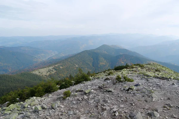 Stones Covered Yellow Lichen Gorgany Mountain Range Western Ukraine Outer — Stock Photo, Image