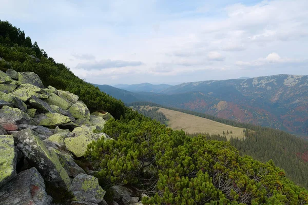 Stones Covered Yellow Lichen Gorgany Mountain Range Western Ukraine Outer — Stock Photo, Image