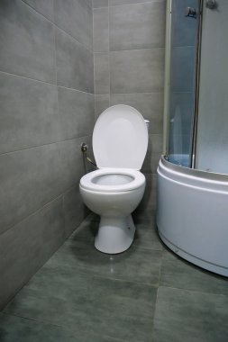 Tuvaletin içi beyaz klozet, duş kabini ve gri duvar kiremitleriyle dolu.