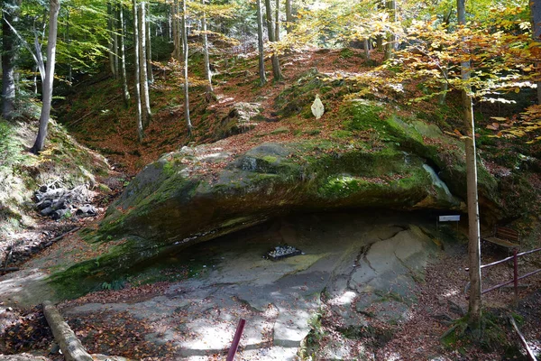 Abençoada Pedra Fonte Sagrada Floresta Perto Manyava Skete Oeste Ucrânia — Fotografia de Stock