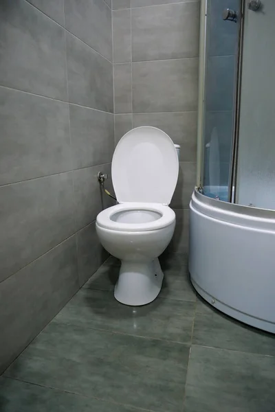 Interior Casa Banho Com Vaso Sanitário Branco Cabine Duche Azulejos — Fotografia de Stock