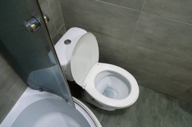 Tuvaletin içi beyaz klozet, duş kabini ve gri duvar kiremitleriyle dolu.