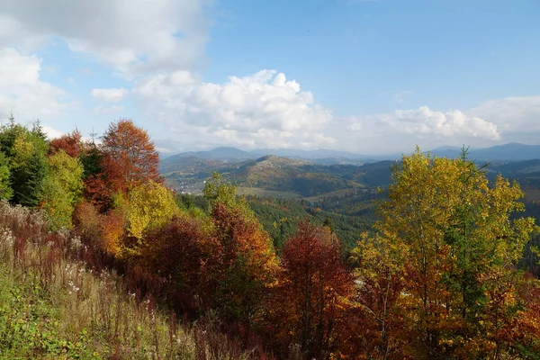Όμορφο Φθινοπωρινό Δάσος Στα Καρπάθια Βουνά Καταπληκτική Φύση Της Ουκρανίας — Φωτογραφία Αρχείου