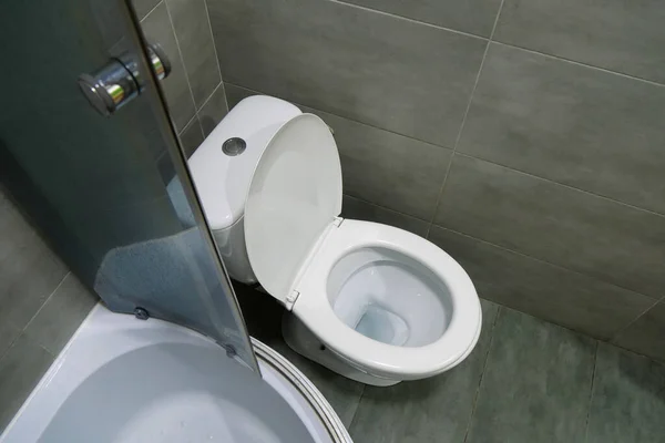 Toilet Room Interior White Toilet Bowl Shower Cabin Grey Wall — Stok Foto