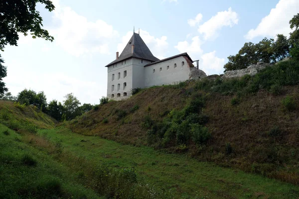 Château 14Ème Siècle Halych Ville Sur Rivière Dniester Ukraine Occidentale — Photo