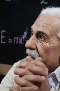 BUKOVEL, UKRAINE, ECTOBER 13, 2022: Dünyaca ünlü bilim adamı, teorik fizikçi, Nobel ödüllü, görelilik teorisinin yaratıcısı, tüm zamanların en büyük ve en etkili fizikçisi Albert Einstein