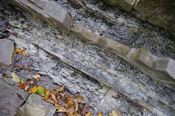Steine Der Nähe Von Prut Karpaten Der Ukraine Yaremche Falten — Stockfoto
